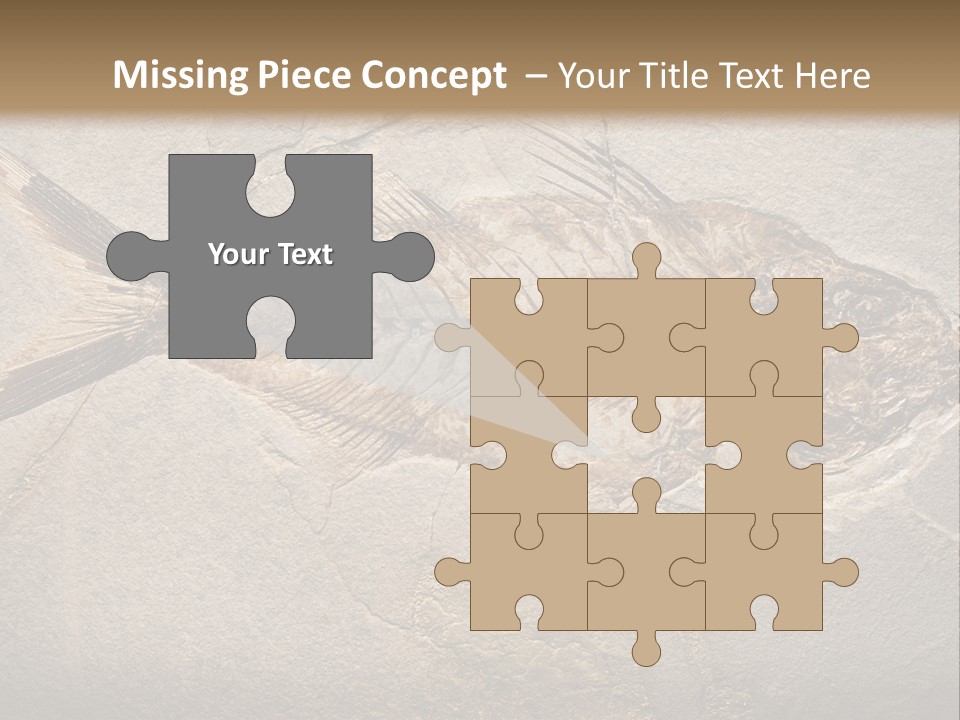 Evolution Aged Science PowerPoint Template