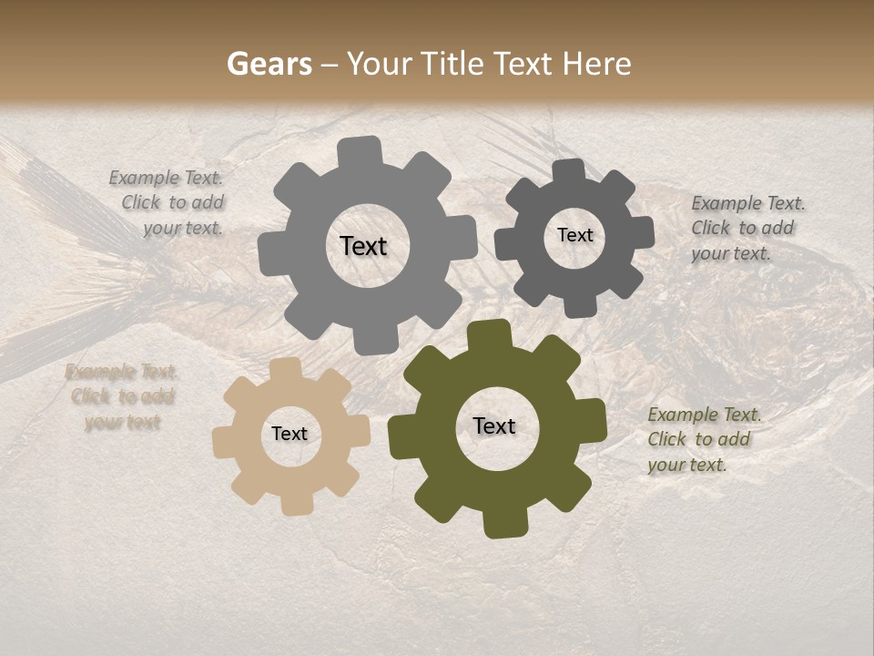 Evolution Aged Science PowerPoint Template