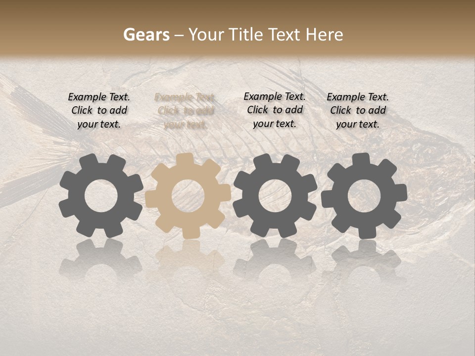 Evolution Aged Science PowerPoint Template