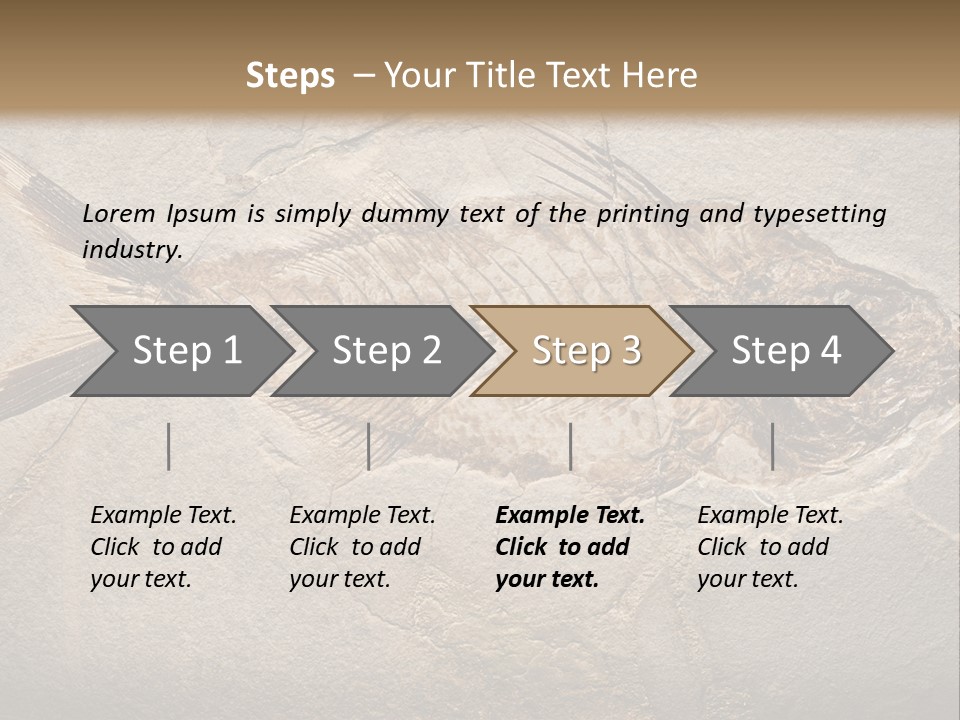 Evolution Aged Science PowerPoint Template