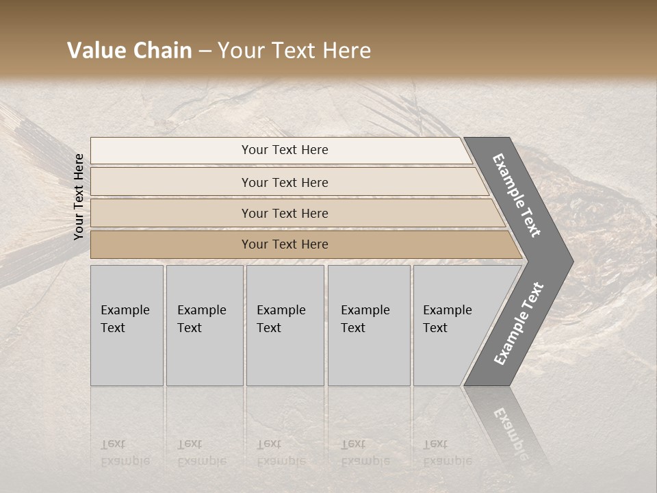 Evolution Aged Science PowerPoint Template