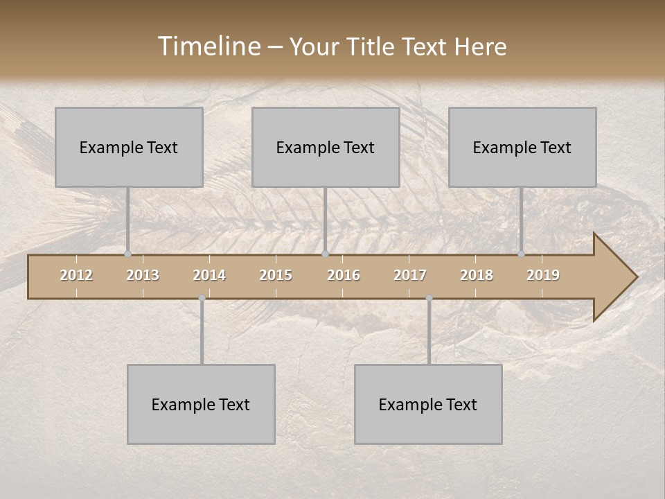 Evolution Aged Science PowerPoint Template