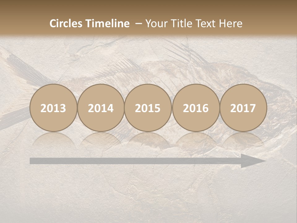 Evolution Aged Science PowerPoint Template