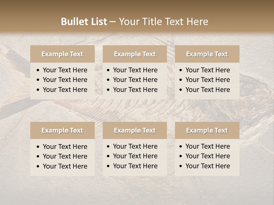 Evolution Aged Science PowerPoint Template