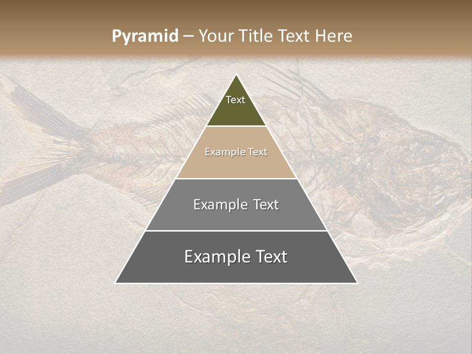 Evolution Aged Science PowerPoint Template