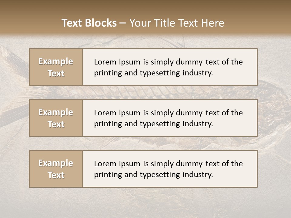 Evolution Aged Science PowerPoint Template