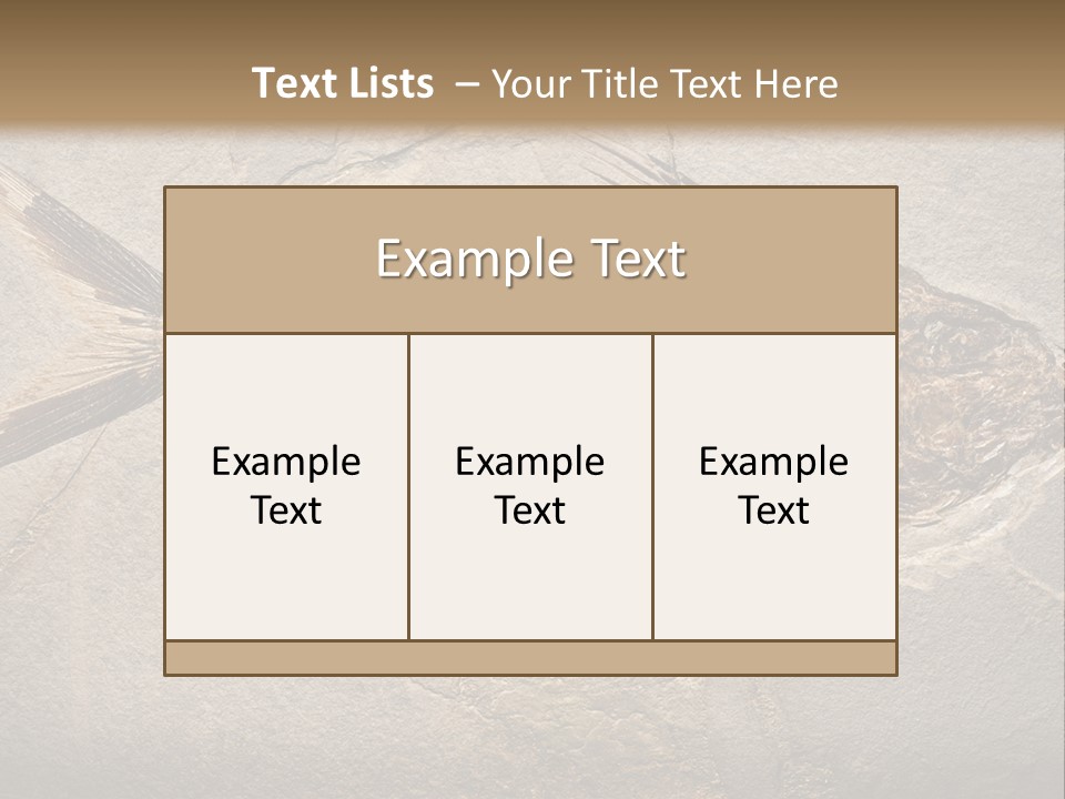 Evolution Aged Science PowerPoint Template