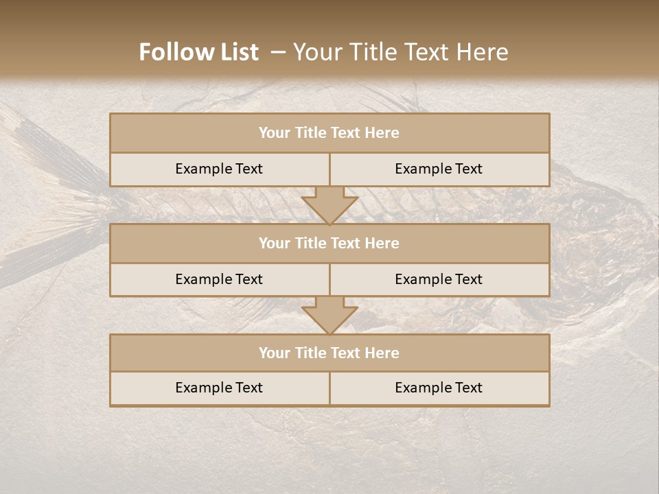 Evolution Aged Science PowerPoint Template