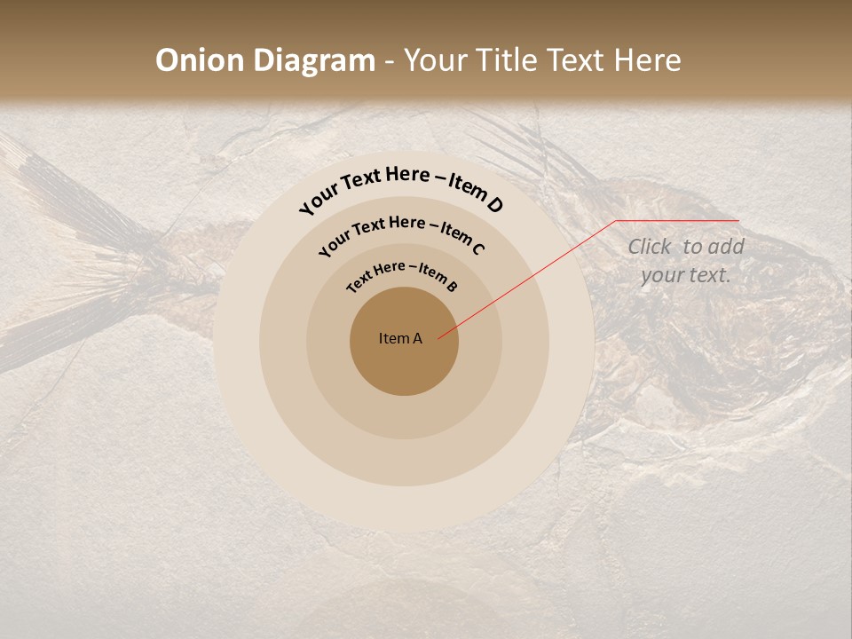 Evolution Aged Science PowerPoint Template