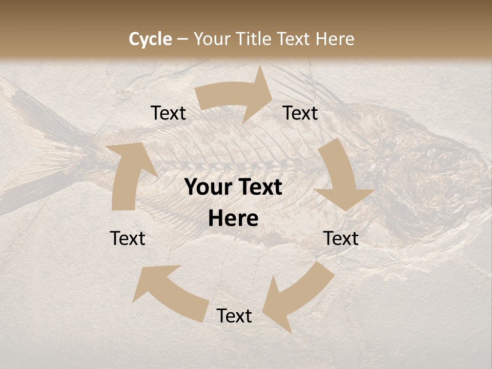 Evolution Aged Science PowerPoint Template