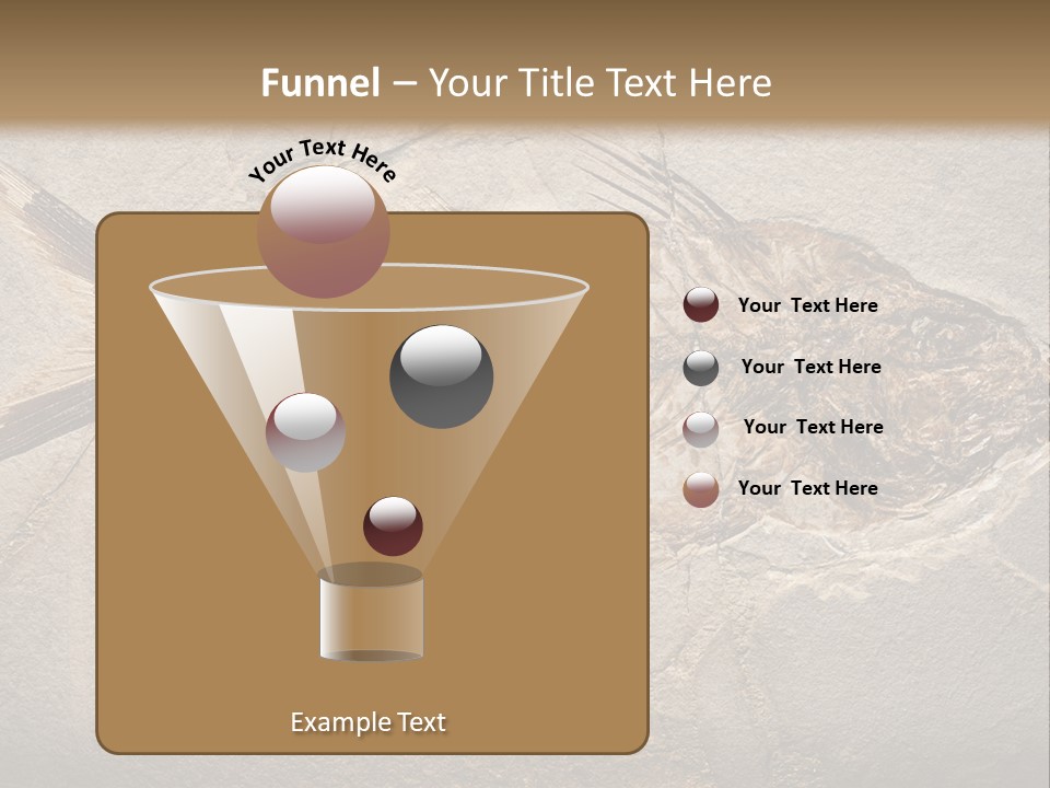 Evolution Aged Science PowerPoint Template