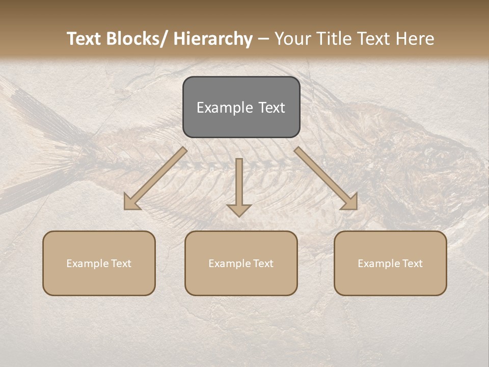 Evolution Aged Science PowerPoint Template
