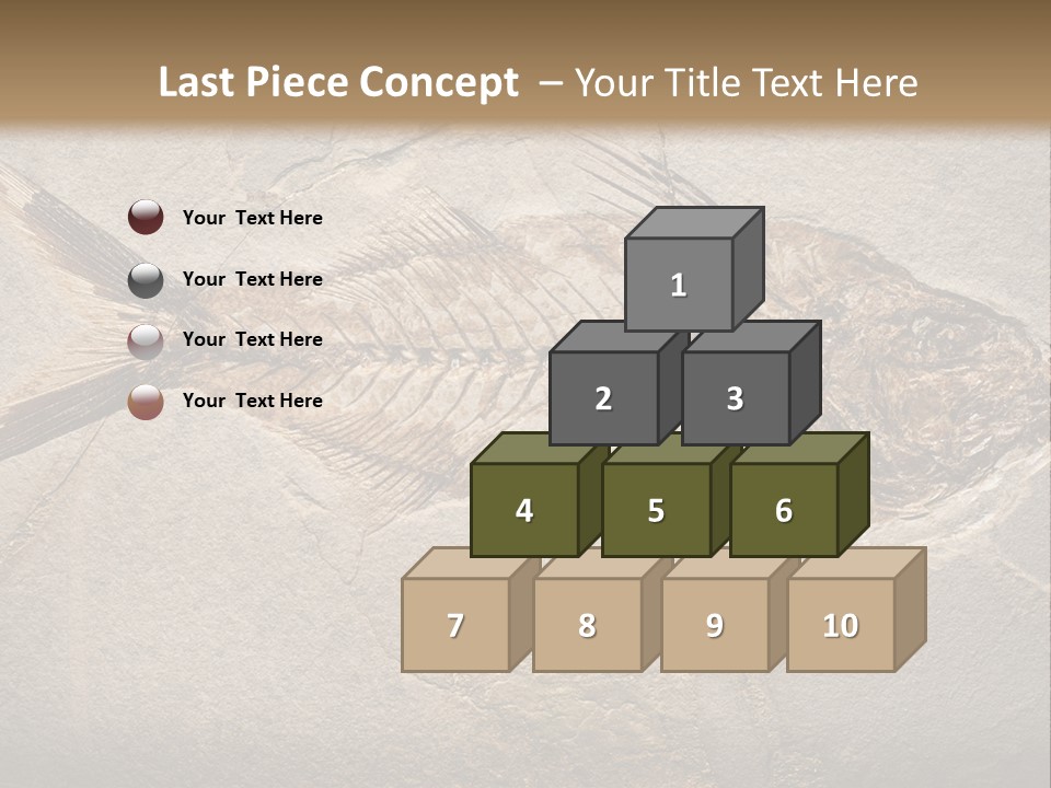 Evolution Aged Science PowerPoint Template
