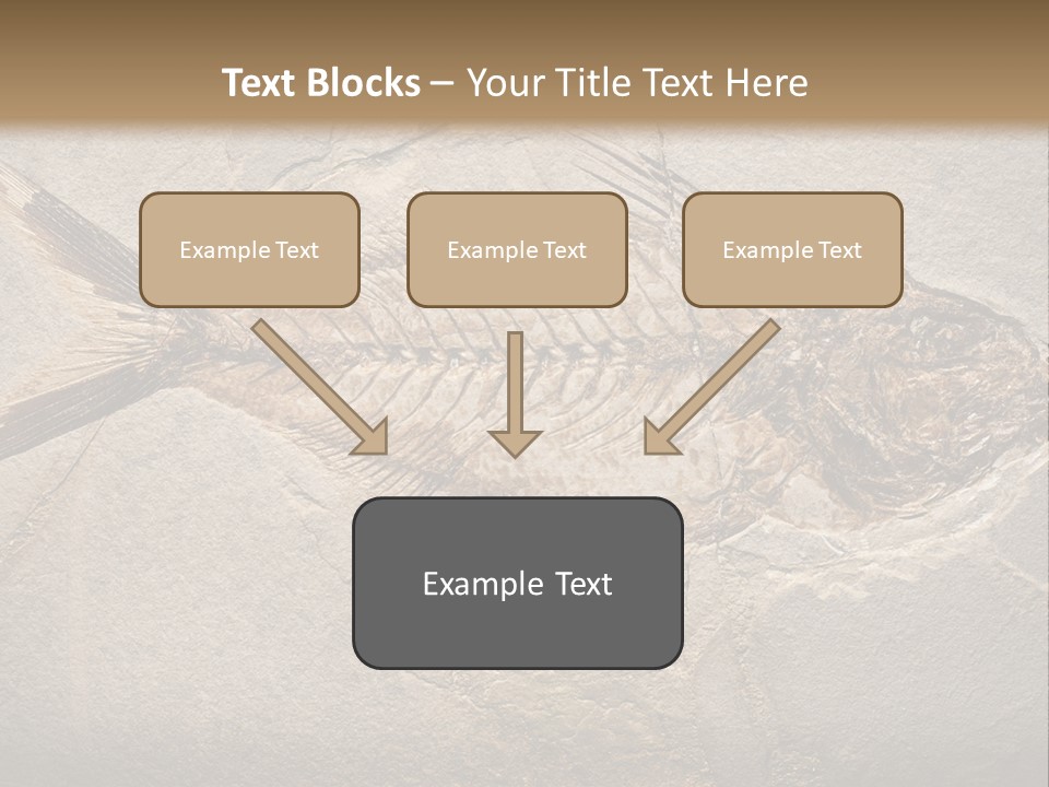 Evolution Aged Science PowerPoint Template