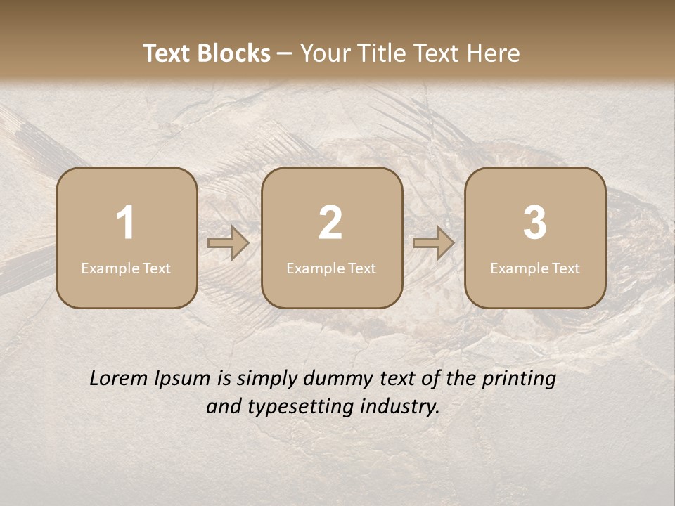 Evolution Aged Science PowerPoint Template