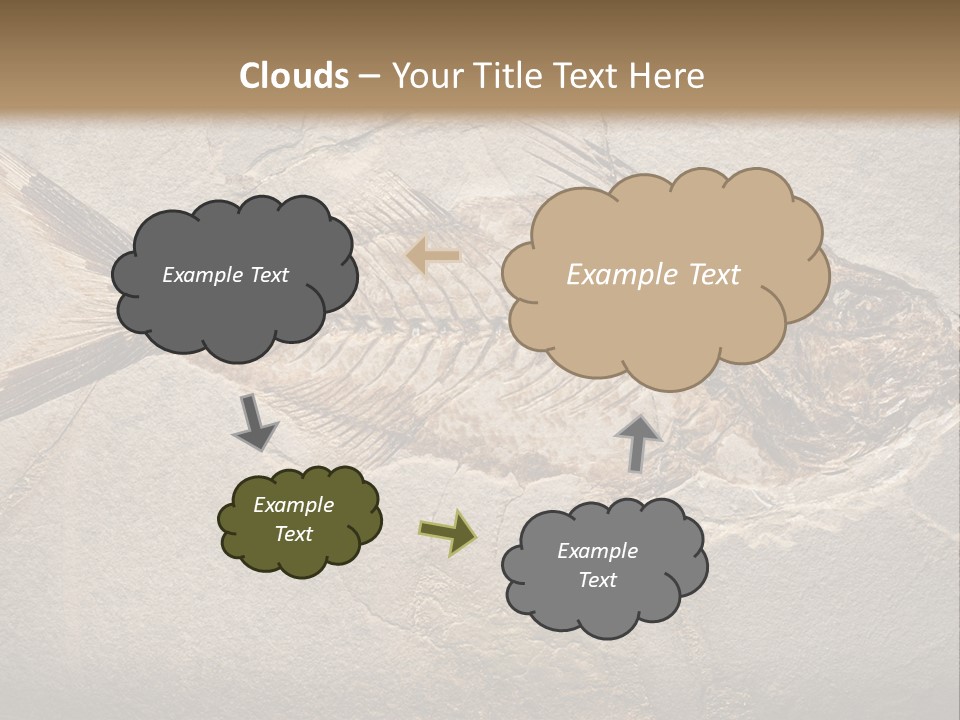 Evolution Aged Science PowerPoint Template