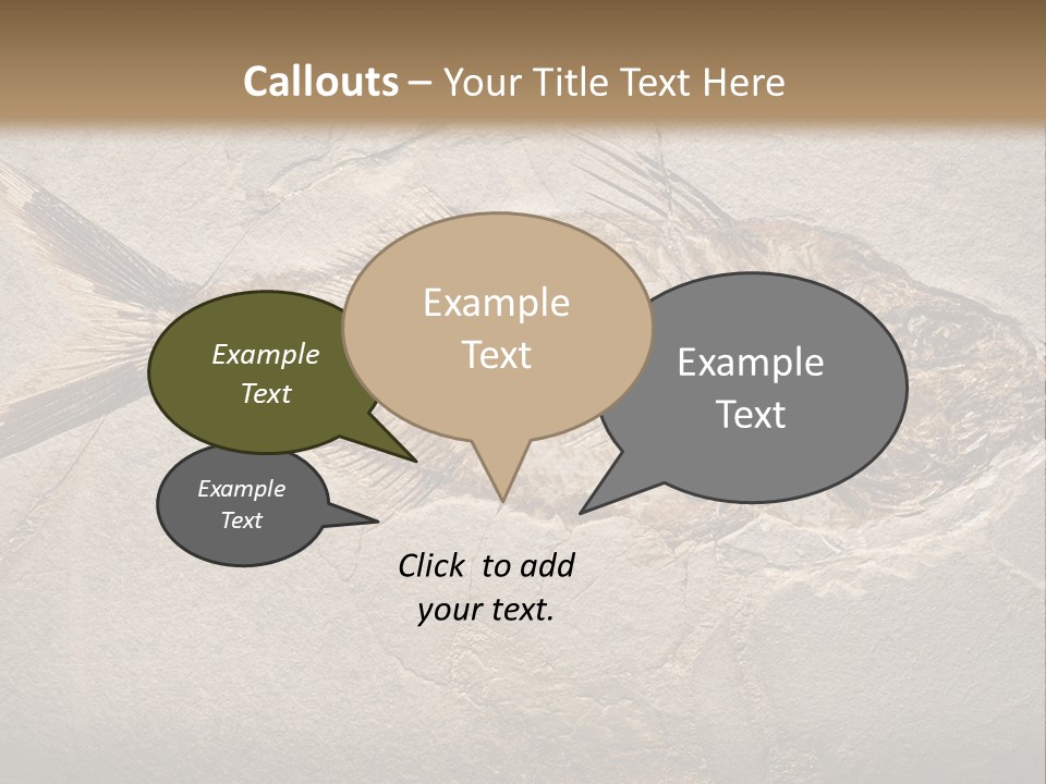 Evolution Aged Science PowerPoint Template