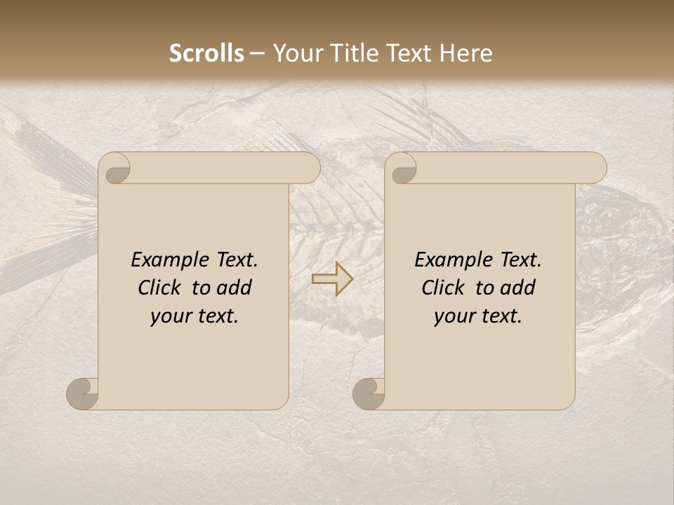 Evolution Aged Science PowerPoint Template