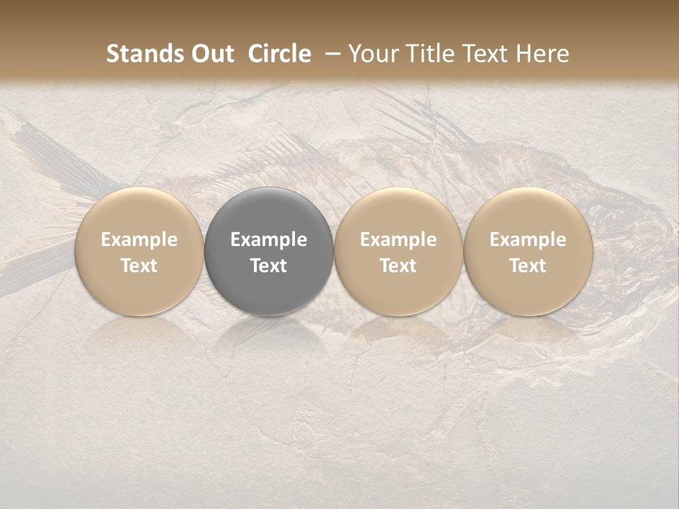 Evolution Aged Science PowerPoint Template