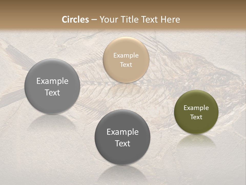Evolution Aged Science PowerPoint Template