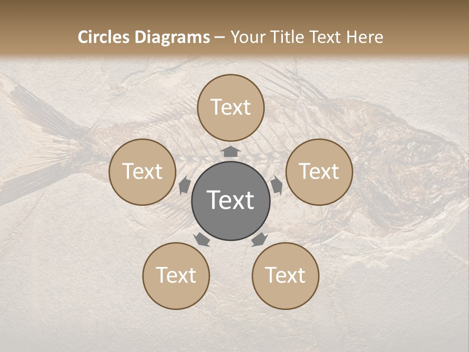 Evolution Aged Science PowerPoint Template