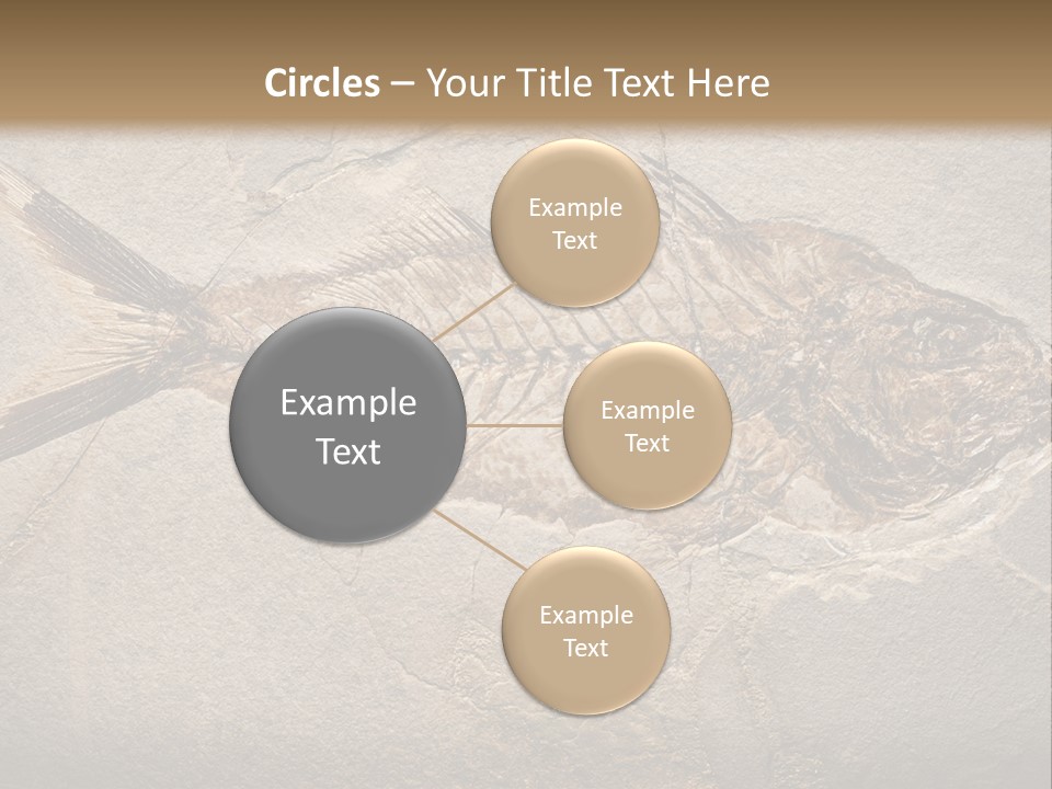 Evolution Aged Science PowerPoint Template