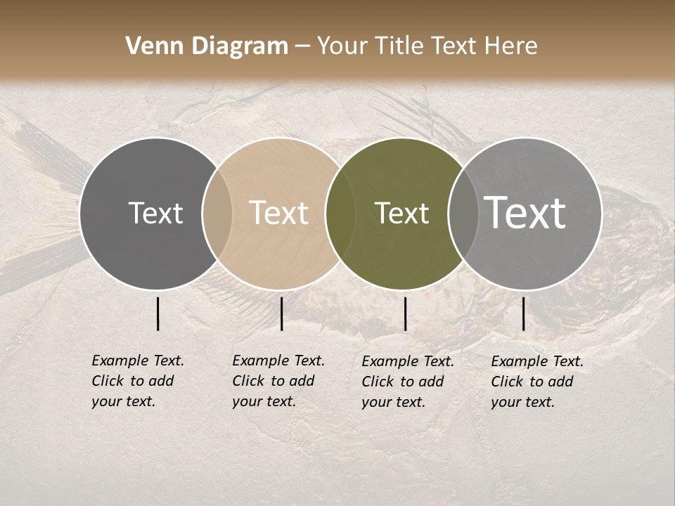 Evolution Aged Science PowerPoint Template
