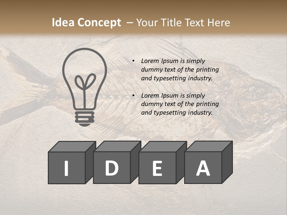 Evolution Aged Science PowerPoint Template