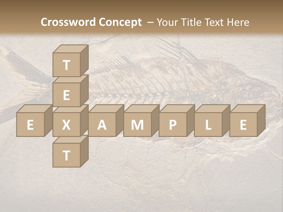 Evolution Aged Science PowerPoint Template