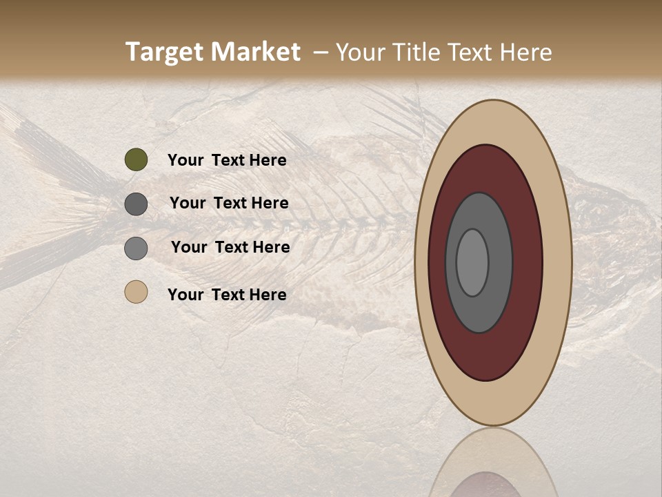 Evolution Aged Science PowerPoint Template