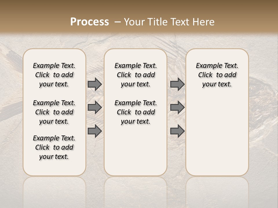 Evolution Aged Science PowerPoint Template