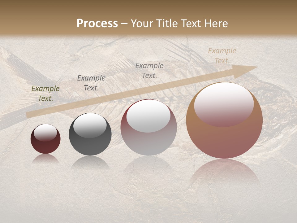 Evolution Aged Science PowerPoint Template