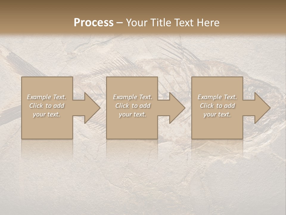 Evolution Aged Science PowerPoint Template