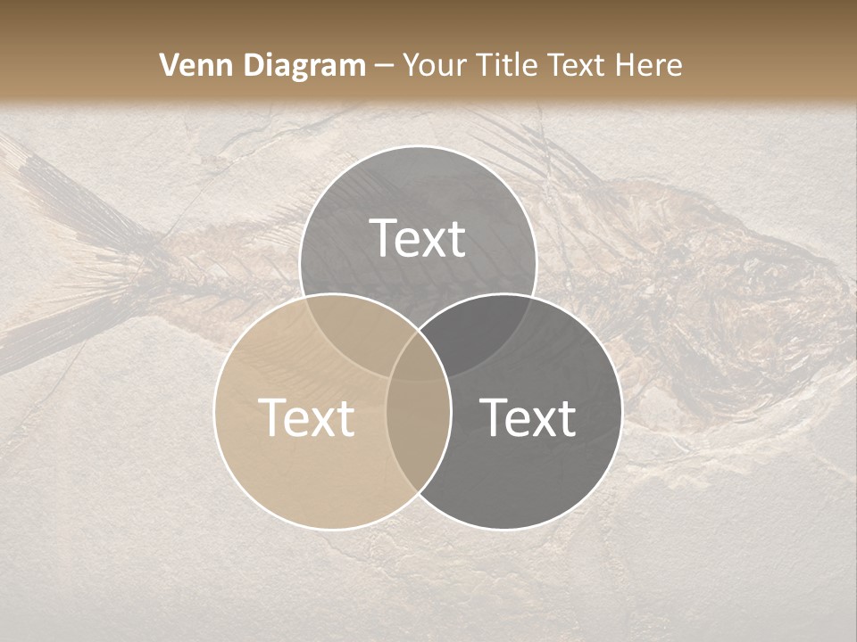 Evolution Aged Science PowerPoint Template