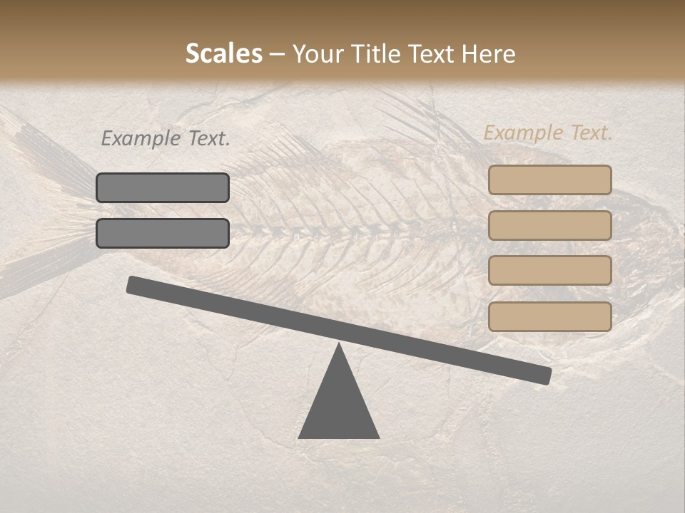 Evolution Aged Science PowerPoint Template