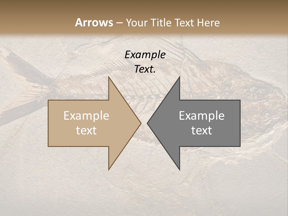 Evolution Aged Science PowerPoint Template