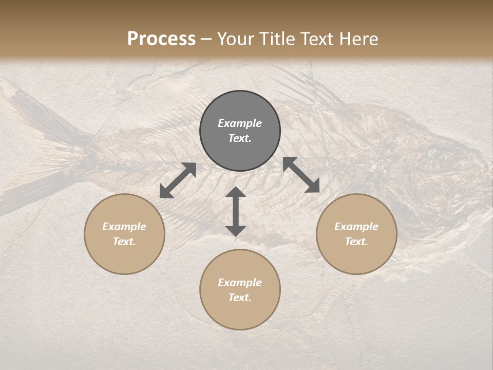 Evolution Aged Science PowerPoint Template