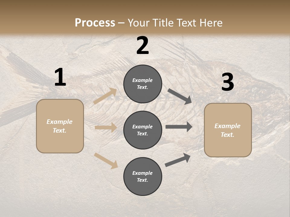Evolution Aged Science PowerPoint Template