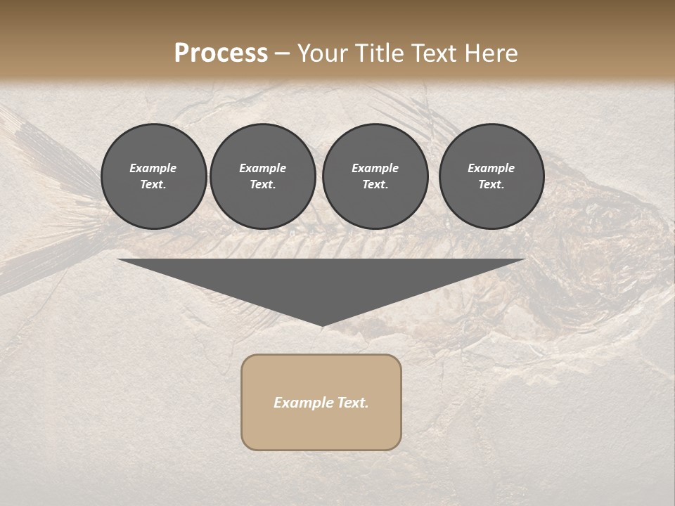 Evolution Aged Science PowerPoint Template