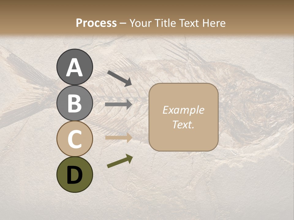 Evolution Aged Science PowerPoint Template