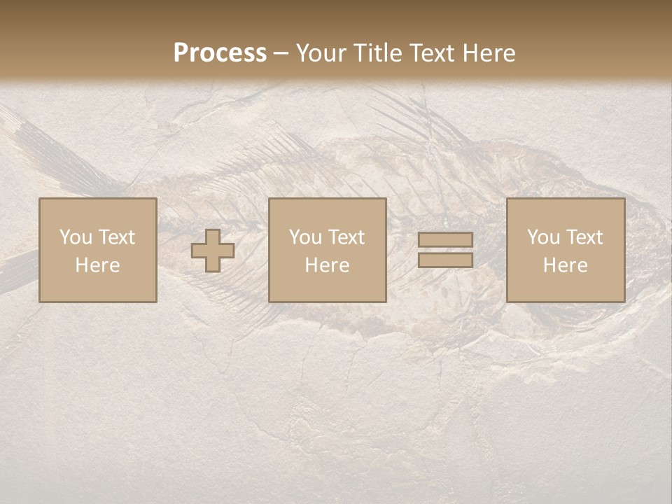 Evolution Aged Science PowerPoint Template