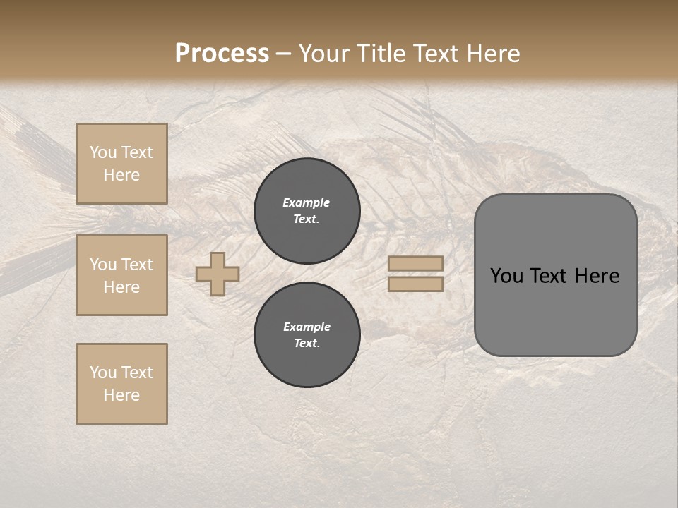 Evolution Aged Science PowerPoint Template