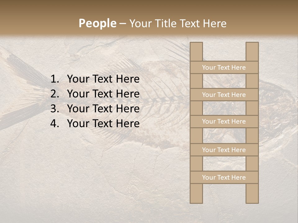 Evolution Aged Science PowerPoint Template