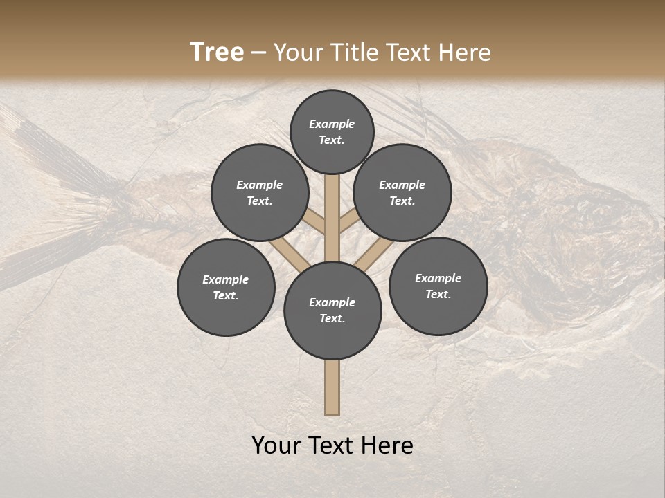 Evolution Aged Science PowerPoint Template