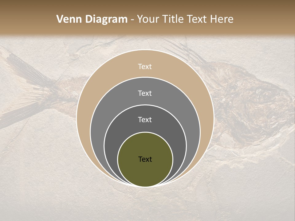 Evolution Aged Science PowerPoint Template