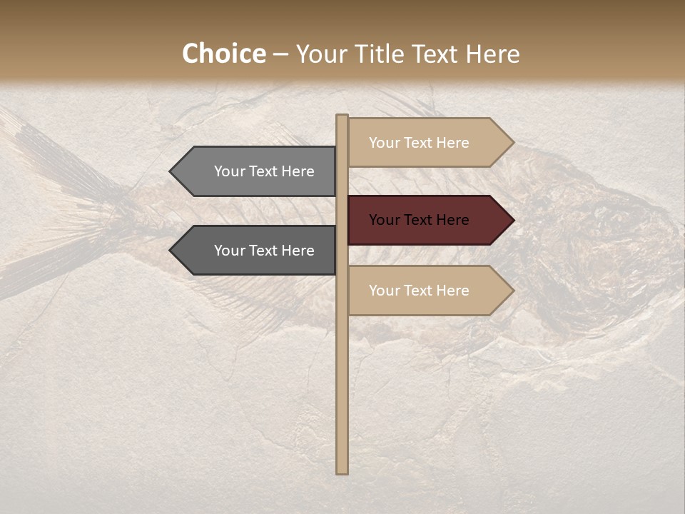 Evolution Aged Science PowerPoint Template