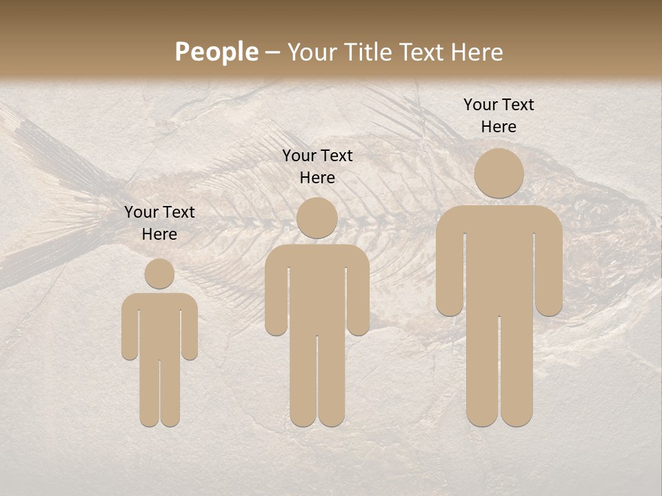 Evolution Aged Science PowerPoint Template