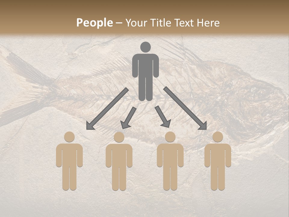 Evolution Aged Science PowerPoint Template