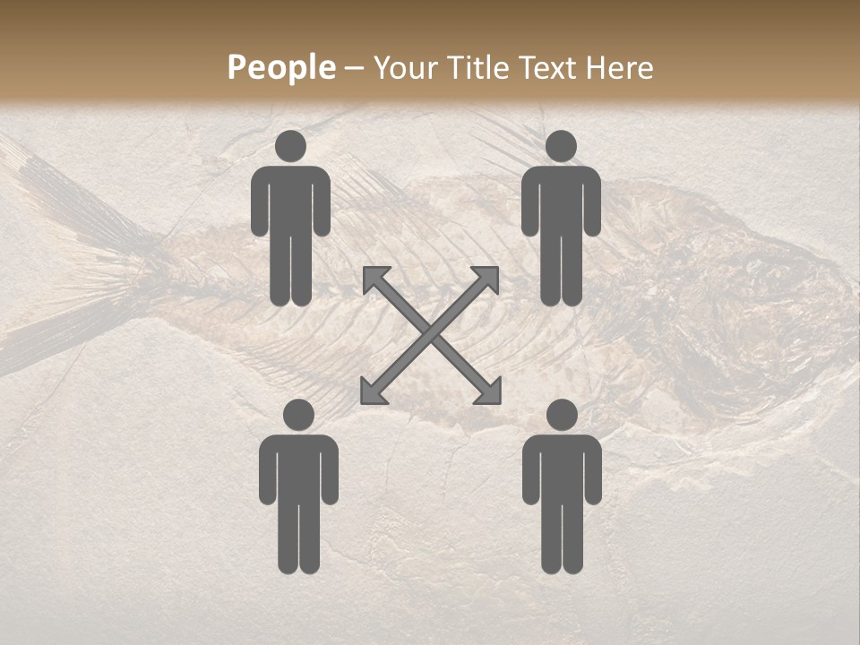 Evolution Aged Science PowerPoint Template