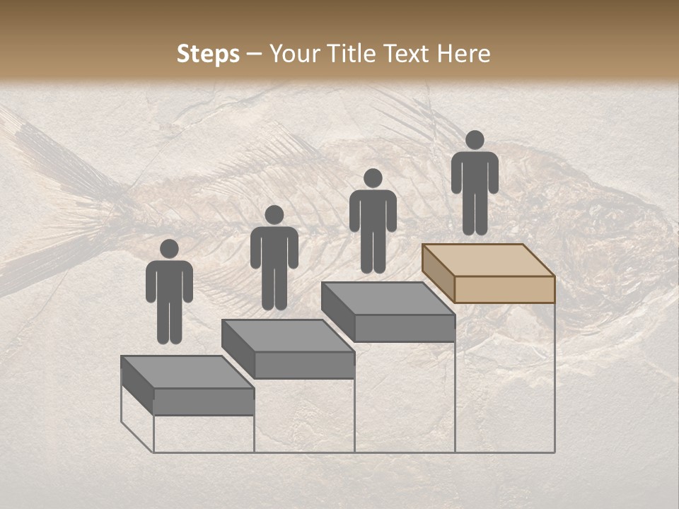 Evolution Aged Science PowerPoint Template